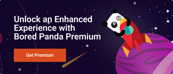 Bored Panda Premium Banner