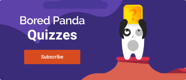 Bored Panda Quizzes Banner
